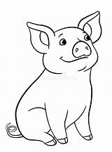Coloring Piglet Sits Smiles sketch template