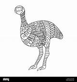 Aboriginal Emu Ostrich Bird Coloring Stylized Isolated Background Drawn Hand Children Book Tribal Style Alamy Stock sketch template