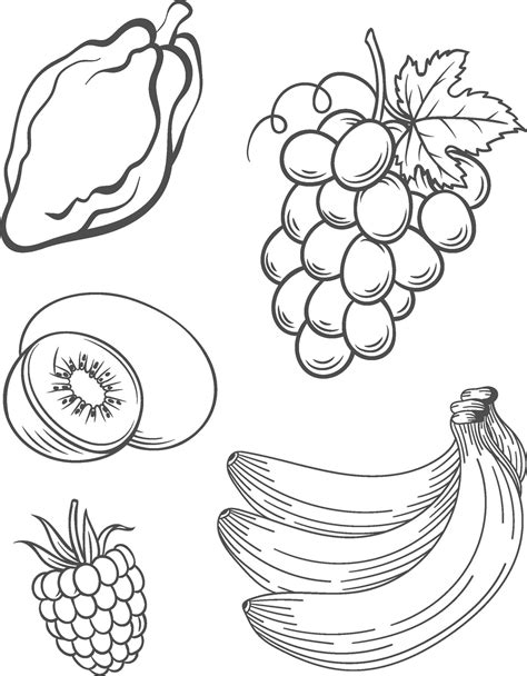 fruit coloring pages set  coloring sheets digital coloring etsy