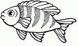 Peixes Peixe Peces Pez Kleurplaat Vis Dourado Pesci Vissen Peixinhos Poisson Pezcado Fundo Pesciolini Martillo Criativos Rigolo Pescado Colección Imagenpng sketch template