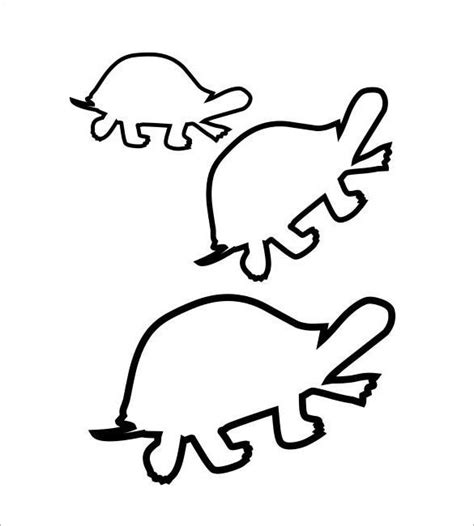 turtle templates crafts colouring pages