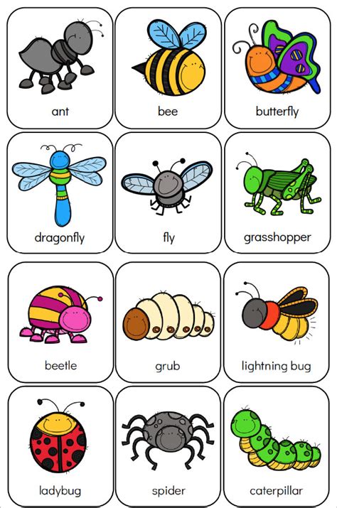 insect sortpdf google drive insects kindergarten preschool insect