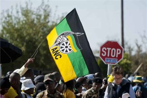 anc  win  elections  plunge  city support survey