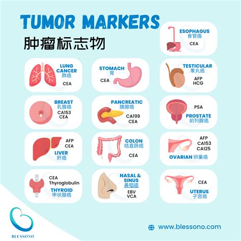 understanding tumor marker tests  comprehensive overview