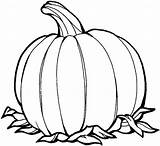 Blank Pumpkin Template Coloring Pages Popular Colouring sketch template
