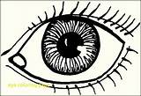 Eye Coloring Human Pages Getcolorings Color sketch template