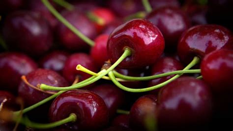 Sweet Cherries From The Okanagan Valley B C S Best Kept Secret Cbc