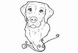 Labrador Lab Coloring Pages Retriever Yellow Puppy Golden Drawing Dog Chocolate Line Drawings Kids Puppies Colouring Printable Realistic Print Color sketch template