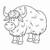 Yak Clipart Coloring Book Drawing Children Illustration Preview Webstockreview Station sketch template