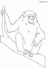 Affe Schimpanse Affen Zweig Gorilla sketch template