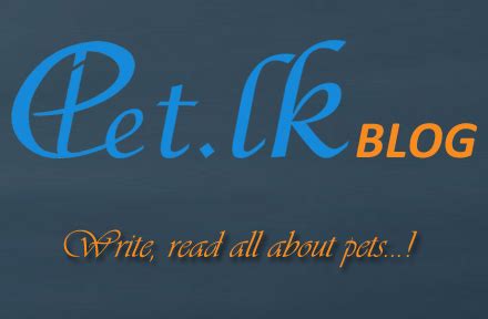 write  read   pets petlk
