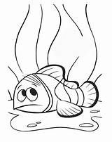 Nemo Scared Fish sketch template