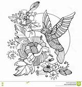 Hummingbird Pages Abetterhowellnj sketch template