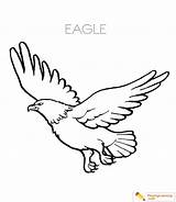 Eagle Coloring Pages Soaring Kids Sheet Flying Date Playinglearning sketch template
