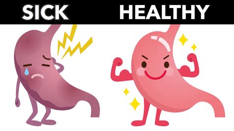 healthy people   people   healthy gut  differently jpg