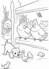 Chicken Coloring Pages Farm Animal Color Easy Print Choose Board sketch template
