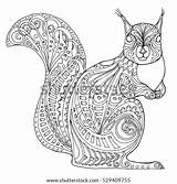 Zentangle Squirrel Doodle sketch template