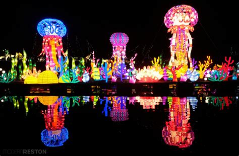 chinese lantern festival     beautiful holiday lights