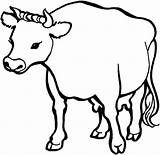 Coloring Pages Cow Dairy Milk Mother Cows Netart Play Color Kids Clipartbest Drawing sketch template