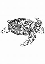 Geeksvgs Turtle Mandala Coloring Pages Report  sketch template