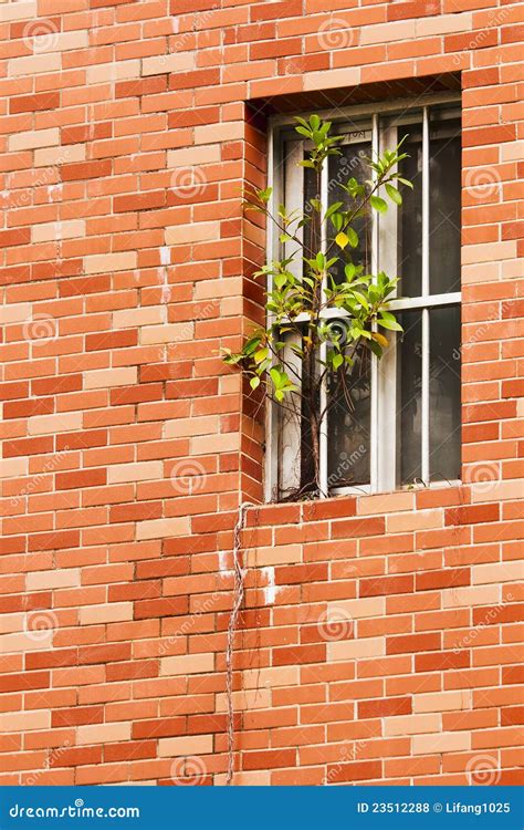 apartment window stock photo image  design architectural