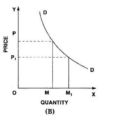 demand  economics law  demand elasticity  demand