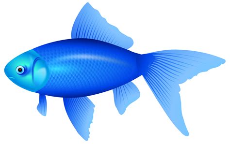 blue fish clipart  clipartioncom