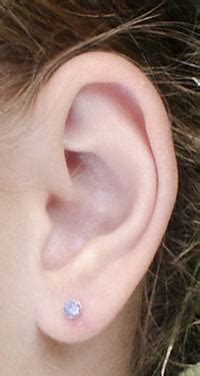 fun ear facts  kids interesting information  human ears hearing