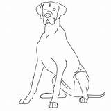Dane Great Coloring Pages Dog Clipart Line Kennels Drawings Sketch Deviantart Template Lps Popular Coloringhome Library Lineart sketch template