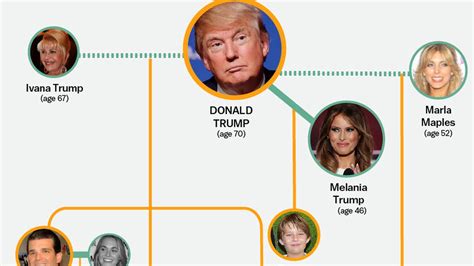entire donald trump family tree   graphic vox