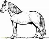 Wild Horse Coloring Pages Getcolorings Printable Print sketch template
