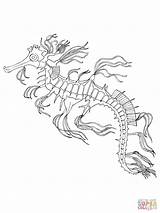 Coloring Sea Horse Pages Seahorse Adult Fish Drawing Printable Popular sketch template