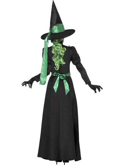 Adult Wicked Witch Costume 33134 Fancy Dress Ball