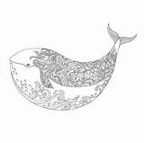 Coloring Basford Ocean Pages Visit Mandalas Whale sketch template
