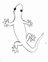 Gecko Erase sketch template