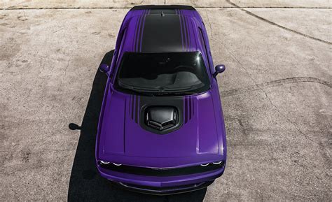 plum crazy purple  reemerged bertera auto group blogs