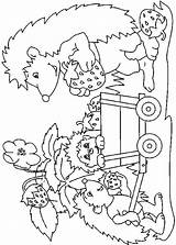 Kleurplaat Coloring Egels Hedgehogs Colorat Ricci Igel Herbst Egel Riccio Colorare Kleurplaten Herisson Disegni Malvorlagen Animale Arici Jung Igeln Hedgehog sketch template