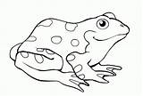Frog Animals sketch template