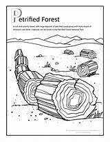 Petrified Coloring Forest Pages Wood Printable Fun Easy Arizona National Parks sketch template