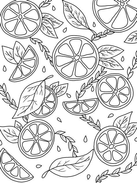 citrus coloring page digital  etsy