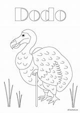 Dodo Designlooter Cheshire sketch template