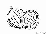 Onion Coloring Pages Template Drawing Sketch Gif Popular sketch template