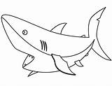 Coloring Shark Pages Hammerhead Printable Popular sketch template