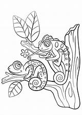 Kameleon Kleurplaten Dieren Chameleons Camaleonte Chameleon Tree Wilde Carina Piccolo Selvatici 1023 sketch template