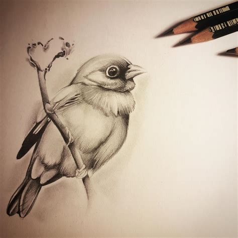 bird drawing idea tutorials   draw bird harunmudak