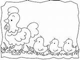 Chicken Chicks sketch template
