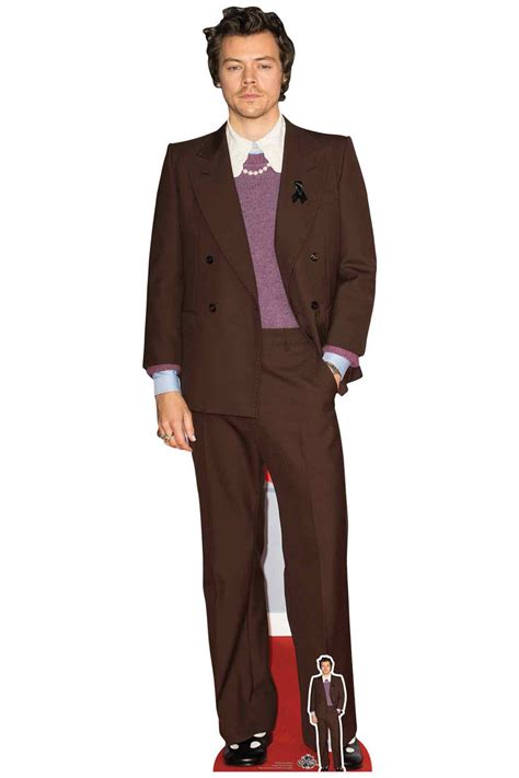 harry styles mauve jacket lifesize cardboard cutout standee