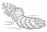Ananas Pineapple Coloriage Colorir Abacaxi Tranches Supercoloring Dessin Extraordinaire Gomme Tampon Sliced sketch template