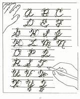 Cursiva Escritura Mayúscula Minúscula Caligrafia Alfabeto sketch template
