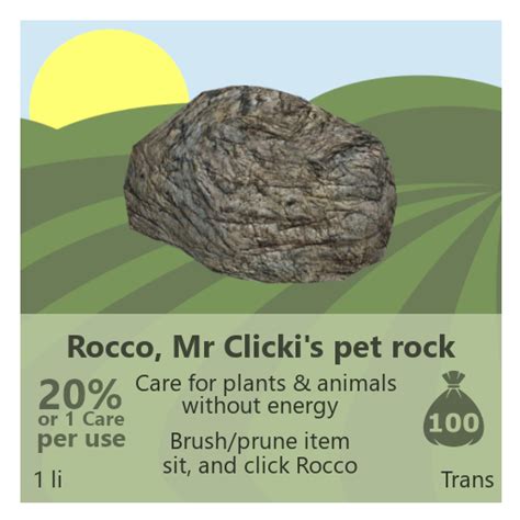 life marketplace dfs rocco  clickis pet rock